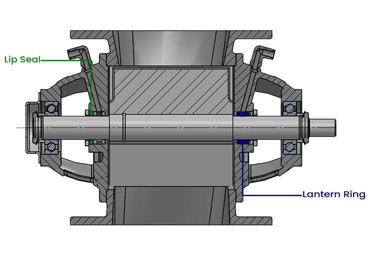 Right Image 2